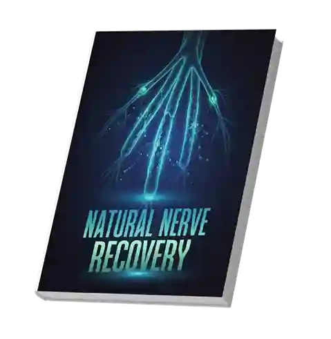 Joint Brex Free Bonus 2 – Natural Nerve Recovery Digital Guide